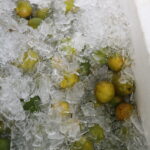 FEIJOADA CSVP 27 DE MAIO 38