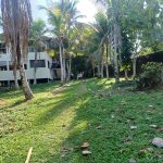 24 10 RETIRO DE PJ E COROINHAS 51