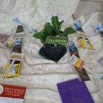 476841070 18371759134188834 7473324696691677773 n