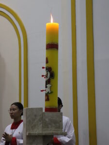 IMG 2854