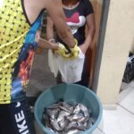 DISTRIBUICAO DOS PEIXES 5