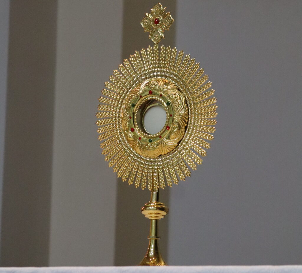 IMG 3892 scaled e1774567879606