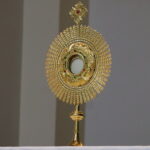 IMG 3892 scaled e1774567879606